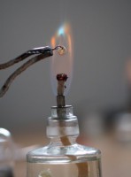 /album/a88/p1010024-small-jpg16/